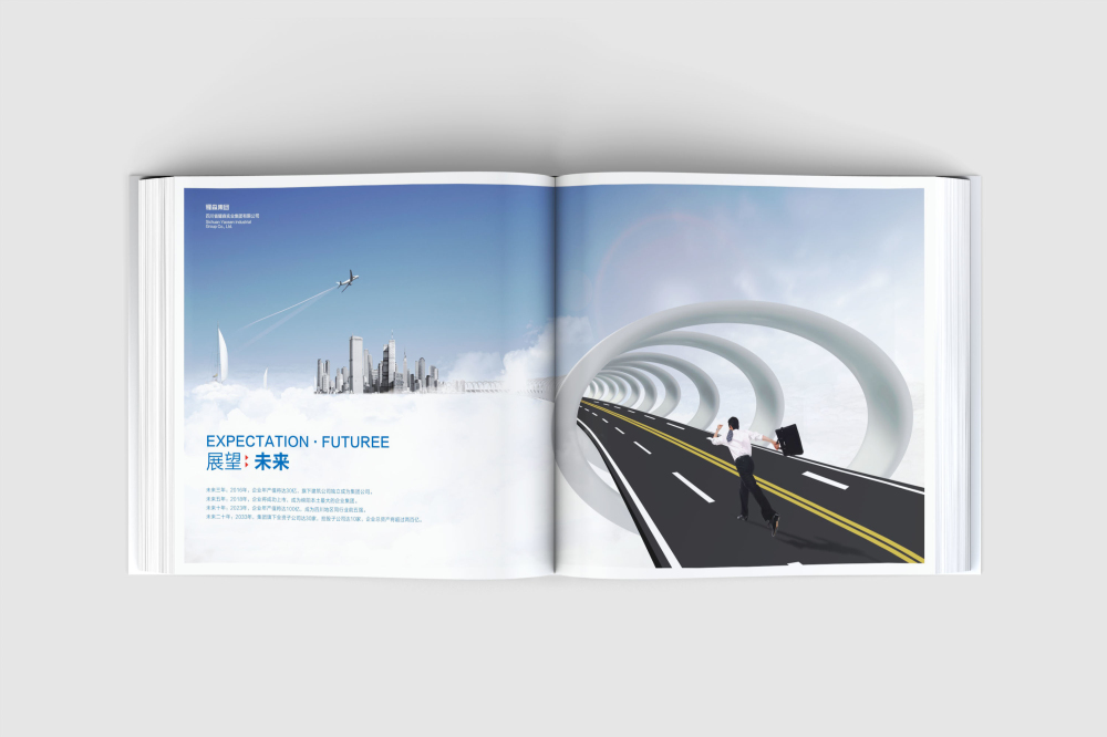 蒙山县画册设计